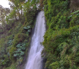 Sendero Tocoihue