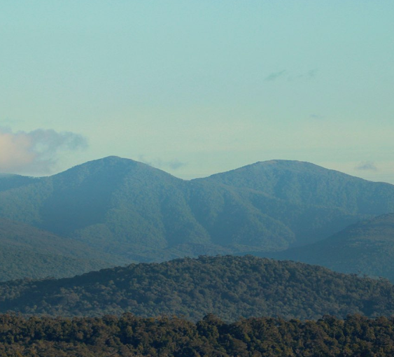 cordillera piuchén