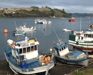 dalcahue