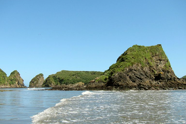 islote puñihuil