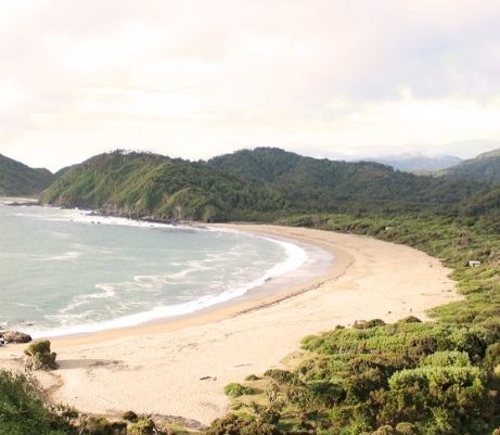 playa cole cole